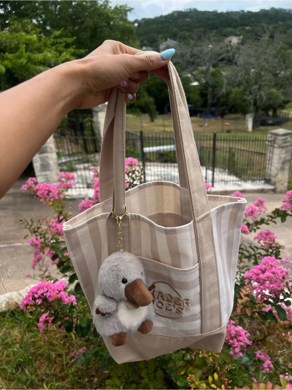Trader Joe’s Canvas Stripe Tote Bag in Beige & White